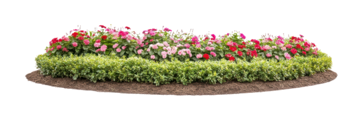PNG Flowers landscape outdoors garden.
