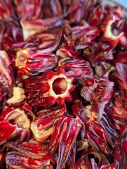 Red Sorrel Fruits scientifically known as Rumex acetosa. These were harvested from an agricultural field in Trinidad and Tobago. These are used to make sorrel drink or juice during Christmas Season.