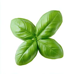 Fresh basil leaf, vibrant green, adds flavor and aroma. Perfect for cooking or garnishing dishes.