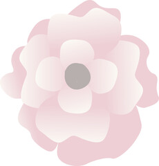 Top View Vector of a cute Peony Flower