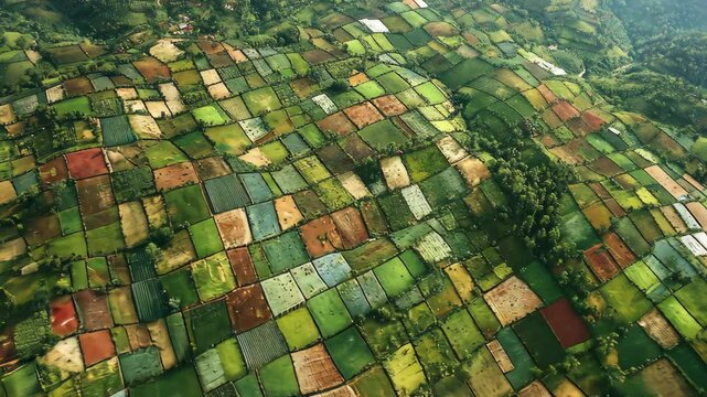Vibrant patchwork fields showcase agricultural beauty in rural landscape during sunny day