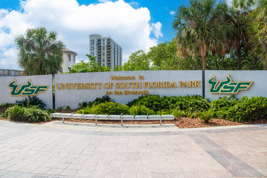 The University of South Florida Park on the Riverwalk with lush green trees and plants in Tampa Florida USA