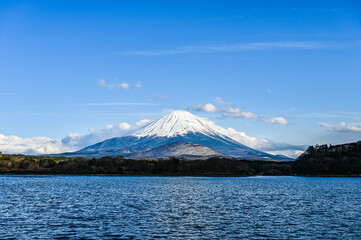 富士山と湖