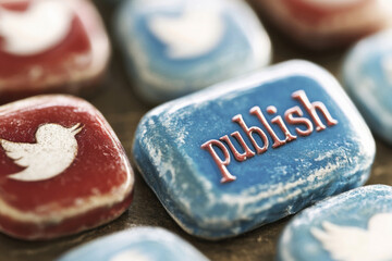 Publishing content on social media with twitter and publish button