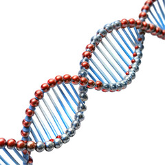 Double Helix The Code of Life isolated on transparent background