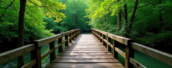 Weathered wooden bridge spanning a river in a dense forest,  vines,  forest