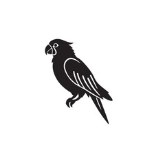 Parrot silhouette on white background. Parrot logo. Vector illustration. 