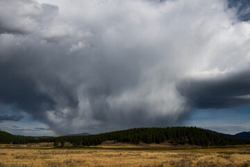 meadow hill mountain grass storm clouds forest