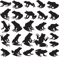 Obraz premium frog silhouettes on white background