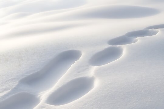 Snow blankets a serene scene where soft steps break the quiet pace  
