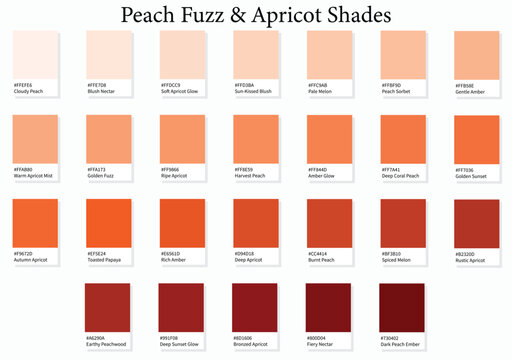 Color Palette 26 Peach Fuzz and Apricot Shades - 3d Pastel Faded to Rich Dark Autumn Tones - with HEX Codes and Names, Colour Swatches, Scheme and Combinations