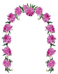 Decorative peonies arch illustration, floral spring-summer background, romantic template for design.