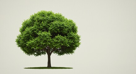 Green leafy tree with a robust trunk symbolizes growth and nature surrounded by a soft neutral background