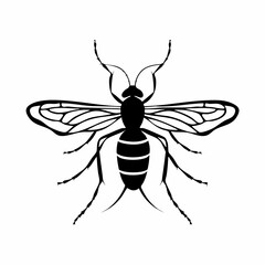 Fototapeta premium Stylized Wasp Illustration Vector Graphic. Vector image
