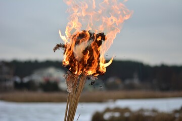 fire in the park