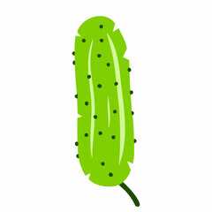 Single Green Cucumber Vector Illustration. Vector image