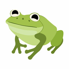 Cartoon Green Frog Illustration. Vector image
