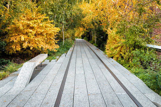 Autumn Foliage at The High Line in NYC