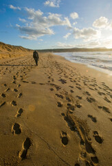 footprints in the sand and hiker with bacpack walking along the Porto Ferro beach, Sardinia Alghero, Sassari, Itaky.