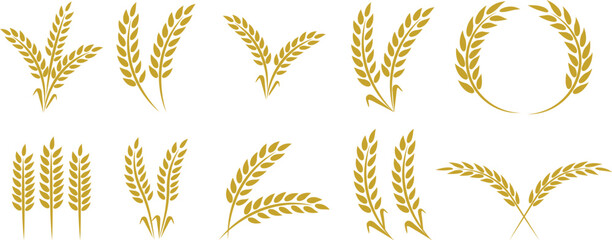 Wheats ears icon set and wheat design elements flat line vector collection isolated on transparent background. Harvest wheat grain, growth rice stalk and whole bread grains or field cereal nutritious. © WaQar