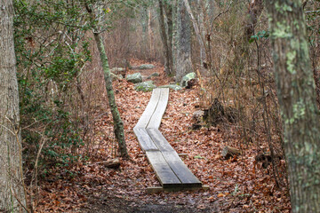 Wooden plank hiking tail late winter in New England