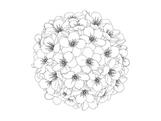 さくらのブーケ風_黒線画