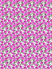 Pattern with photographic peonies. Romantic spring-summer floral background.