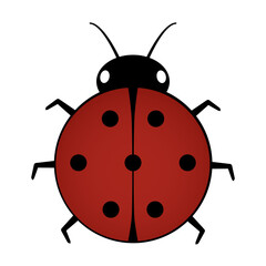Marienkäfer - Glückssymbol