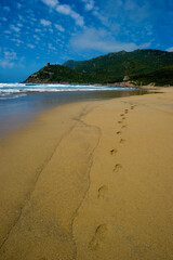 footprints in the sand along the Porto Ferro beach, Sardinia Alghero, Sassari, Italy.