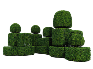 Lush green topiary shapes create an inviting outdoor scene, featuring neatly trimmed shrubs in various geometric forms against a bright backdrop.