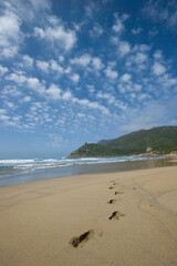 footprints in the sand along the Porto Ferro beach, Sardinia Alghero, Sassari, Italy.