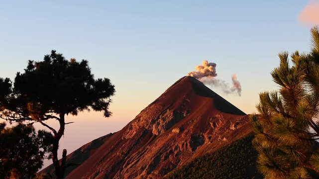 view of fuego volcano peak with smoke rising recent eruption (erupting volcanic ash lava fire) active seismic geothermal activity in antigua guatemala with trees (pyroclastic flow) hike acatenango