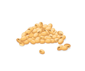 Dried soya beans stock illustrator