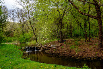 Spring in Prospect Park