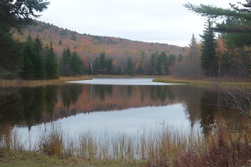 Quiet Lake with Reflections of Tall Pines and Rocky Shores