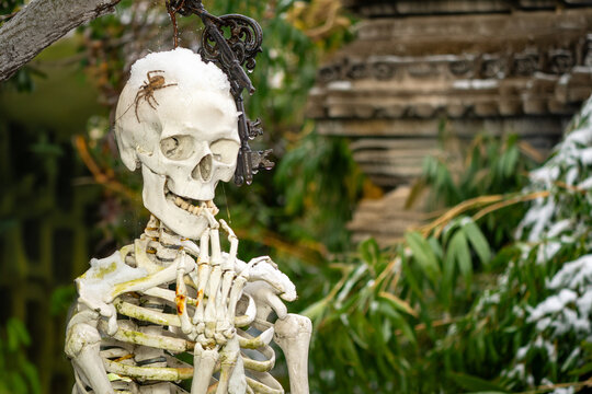 A hauntingly artistic composition featuring a skeleton delicately draped in spider-like snow, set against the ethereal backdrop of a blurred temple. The surreal contrast between the skeletal figure an