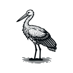 Fototapeta premium Stork Bird engrave logo icon design illustration
