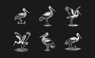 Fototapeta premium Stork Bird engrave logo icon design illustration