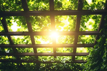 Bright Green Ivy Leaves Climbing a Wooden Trellis in the Sunlight
