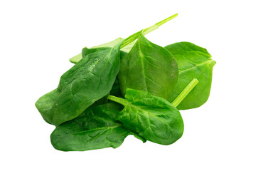 Szpinak, roślina, świeży, zielony. Bez tła, na białym tle.