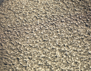 日本庭園の石の橋の表面