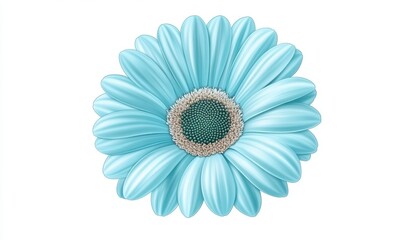 Light blue gerbera daisy flower on white background. Detailed macro shot of petals and center. Soft, pastel colors. Perfect for spring or summer themes.