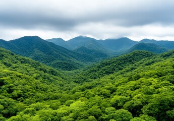 Obraz premium Lush green mountain range under a cloudy sky. Rolling hills covered in dense vegetation create a tranquil landscape.