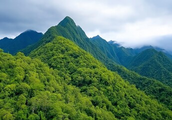Fototapeta premium Lush green mountain range under a cloudy sky. Dense foliage covers rolling hills, creating a serene and tranquil atmosphere. The image features a panoramic view of a hilly landscape.
