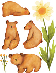 Fototapeta premium Watercolor illustration set of bear and daisy, cute watercolor set of cute bear, Decoration for nursery kids birthday party, print for invitation card baby shower poster template, cute bear set 
