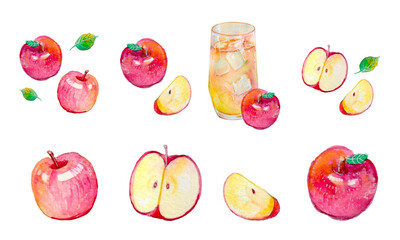 水彩で描いたりんごのイラストのセット