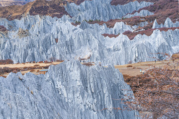 Moshi Park Scenic Area, Daofu County, Garze Tibetan Autonomous Prefecture, Sichuan Province, China