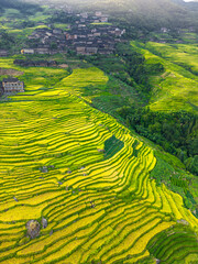Longji Rice Terraces in Longsheng, or called Longsheng Rice Terraces, Guangxi, China