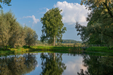 View of the pond "Under the shade of thick Willows" in the Mikhailovskoye estate of the Pushkin Museum-Reserve, Pushkinskiye Gory, Pskov Region, Russia