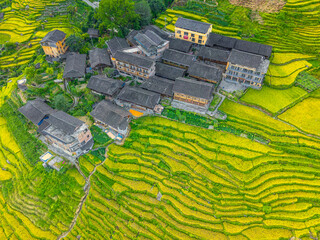 Aerial view of the countryside houses surrounded by yellow and green Longji Rice Terraces in China